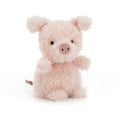 little pig